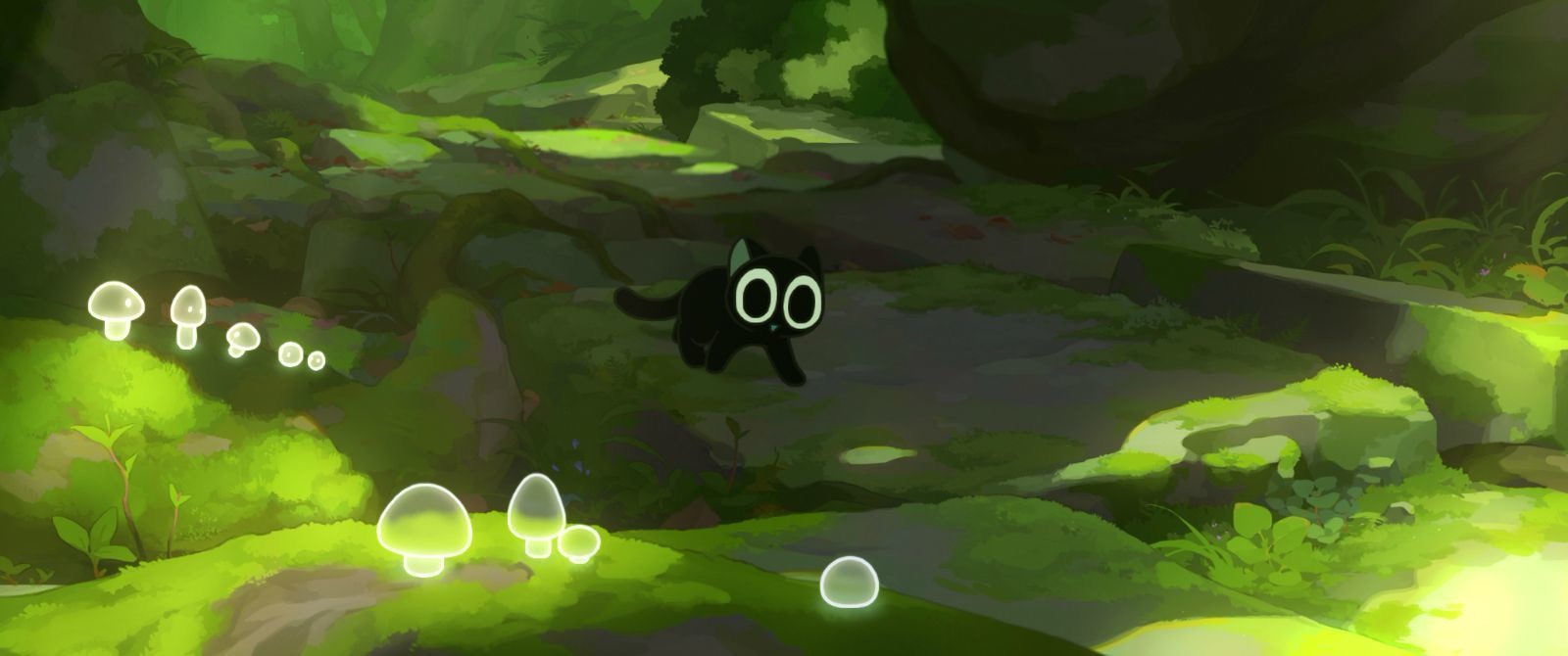 《羅小黒戦記/ぼくが選ぶ未来》(2019年，原題：羅小黒戦記)